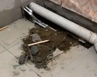 沅江卫生间漏水检测哪家好