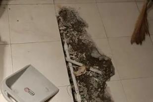 沅江卫生间漏水检测电话